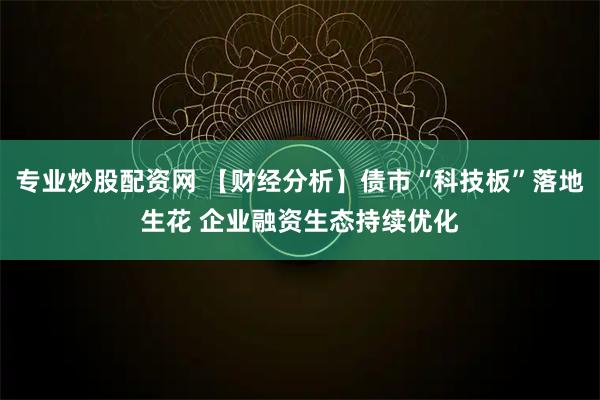 专业炒股配资网 【财经分析】债市“科技板”落地生花 企业融资生态持续优化