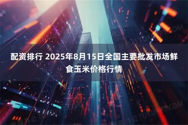 配资排行 2025年8月15日全国主要批发市场鲜食玉米价格行情